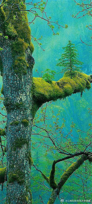 4、激光焊接設(shè)備在焊接環(huán)節(jié)中必須掌握什么關(guān)鍵點(diǎn)